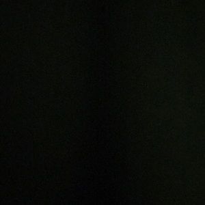 Meet your Posher, Chase